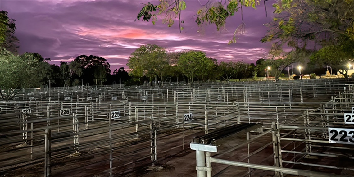 livestock.jpg