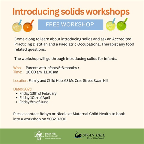 Introducing-solids-workshop-tile