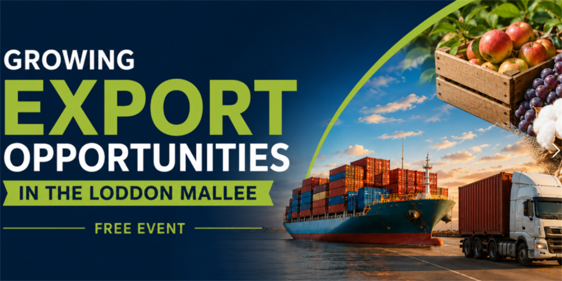 Export opportunities