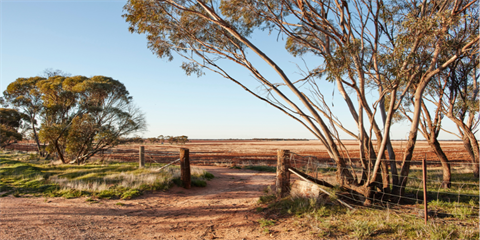 Farm gate