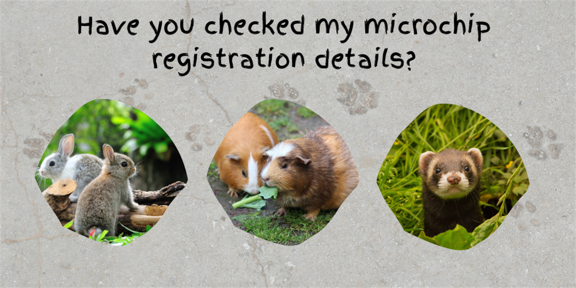 Microchip.png