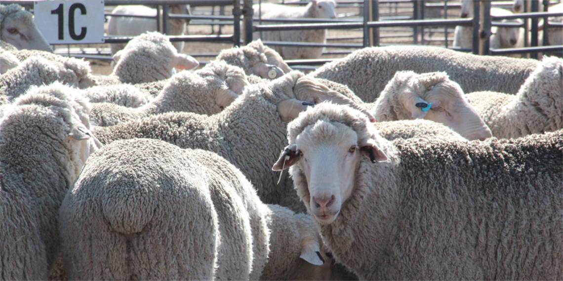 Untitled design (11).png