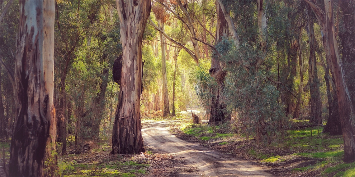 Website Photos (16).png