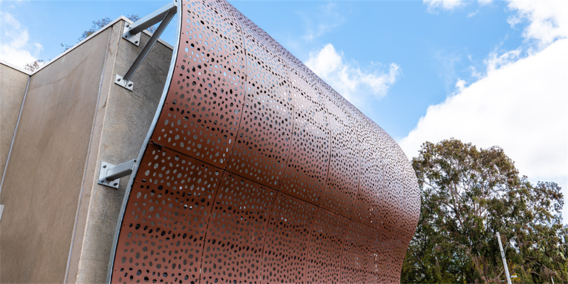 Website Photos (5).png