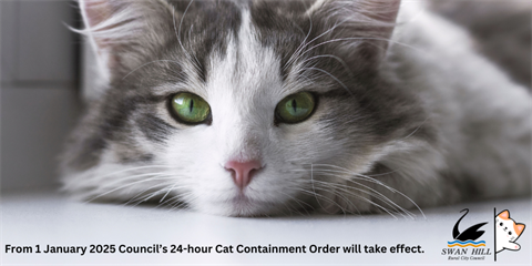 Cat Containment Quarter Page Advert (1000 x 500 px).png