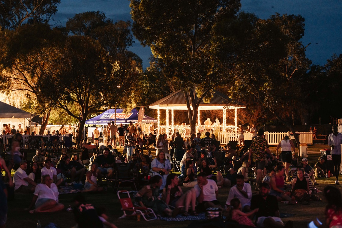 seated crowd at Brew and Chew Festival, nightime.jpg