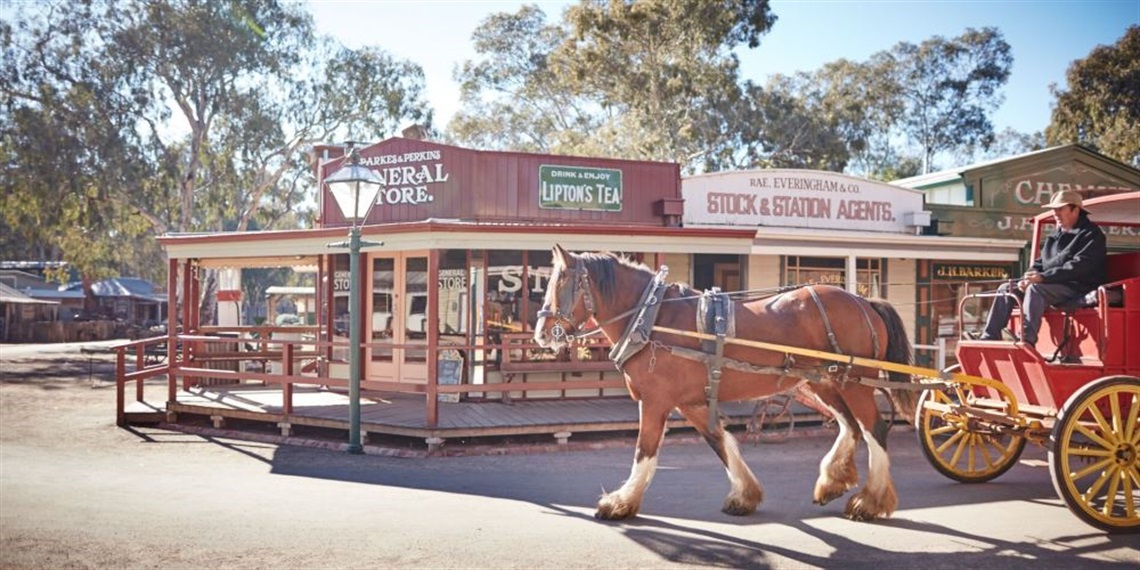 Pioneer Settlement.jpeg