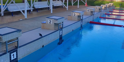 pool.jpg